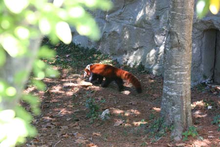 IMG_2875